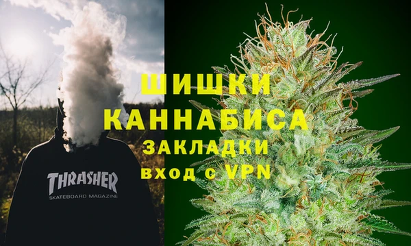 сатива Сатка